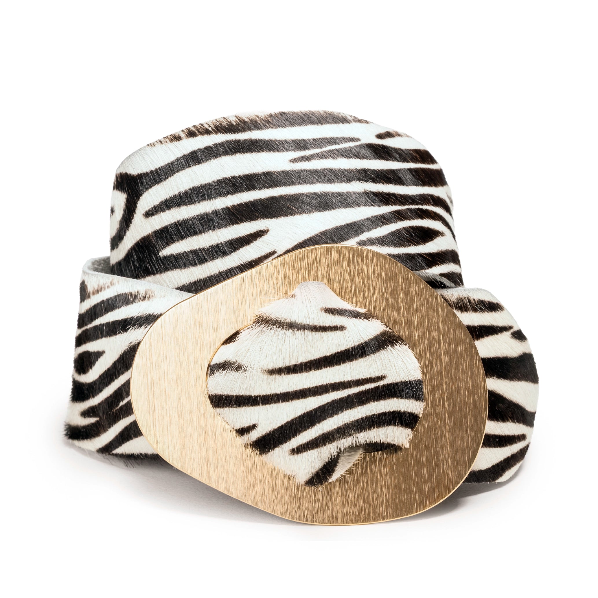 #Color_Zebra Print