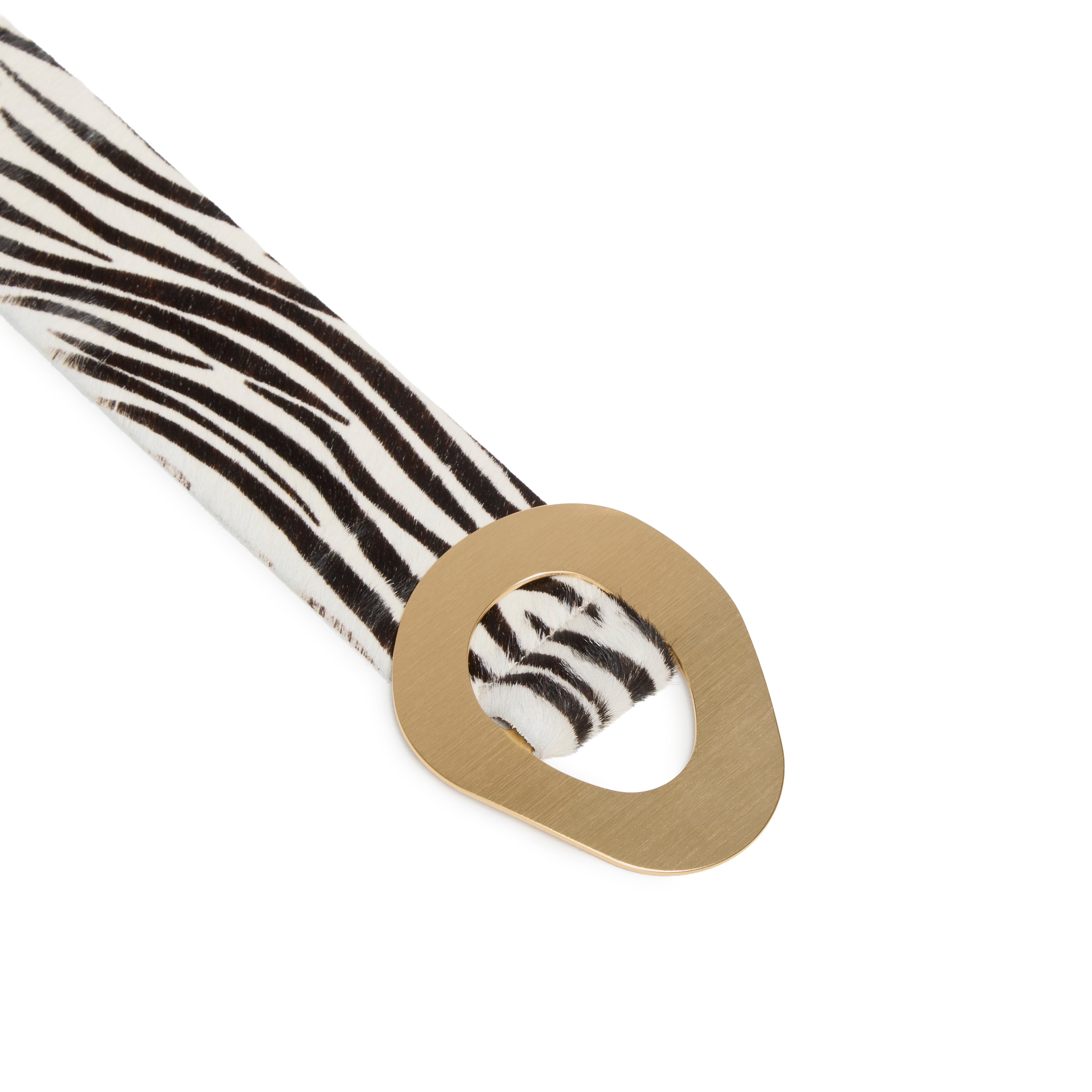 #Color_Zebra____print