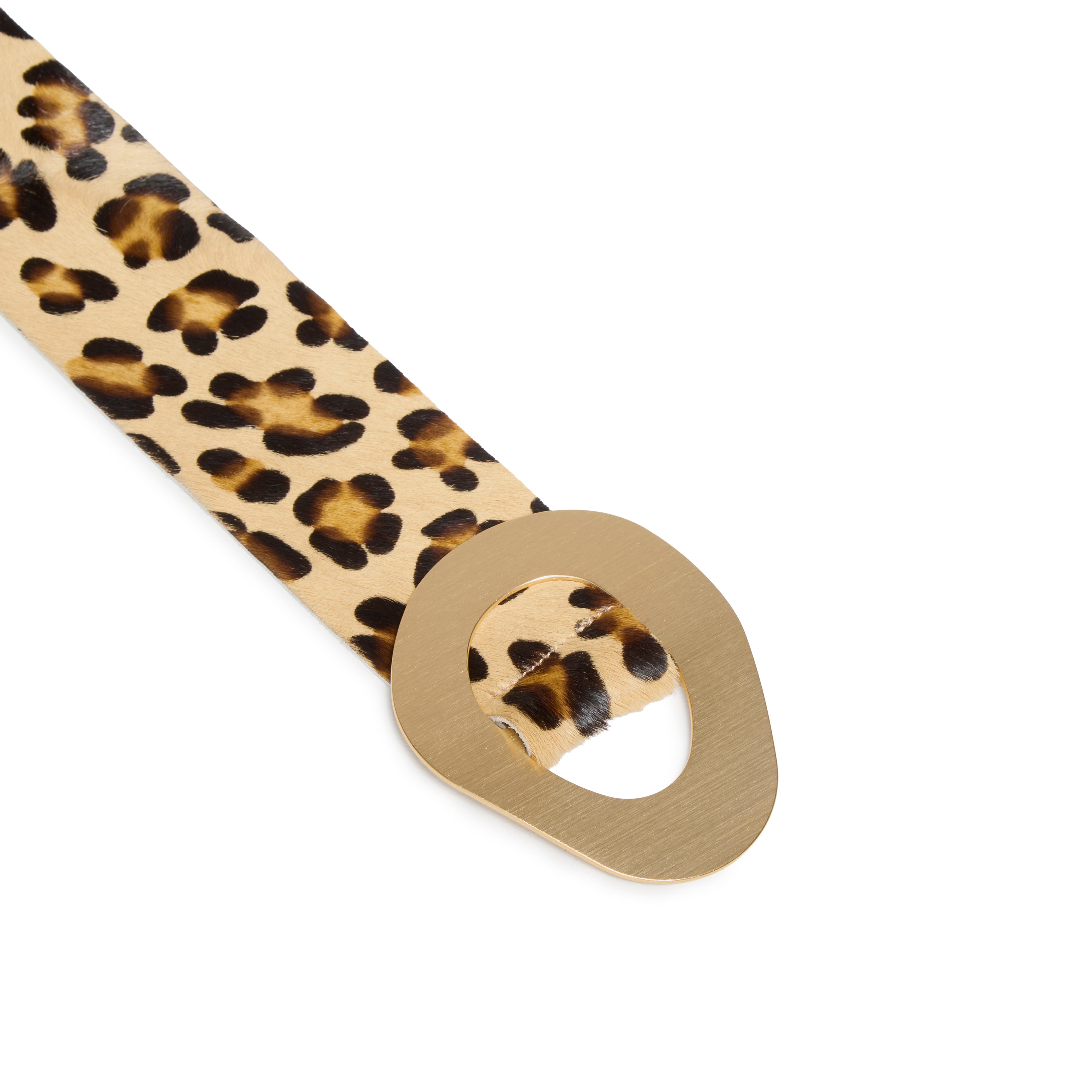 #Color_Leopard Print